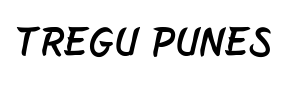 Tregu Punes